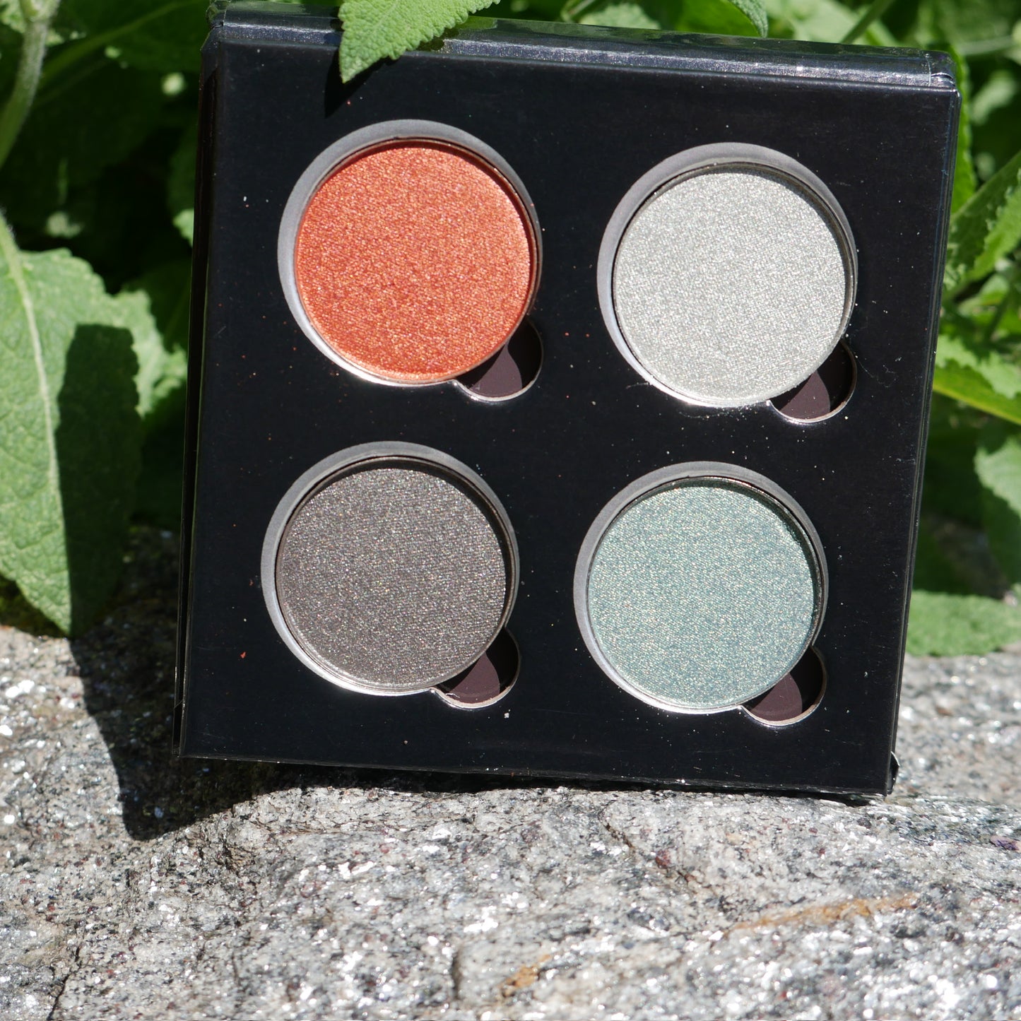 Somber Soils Quad x @s.andromedae
