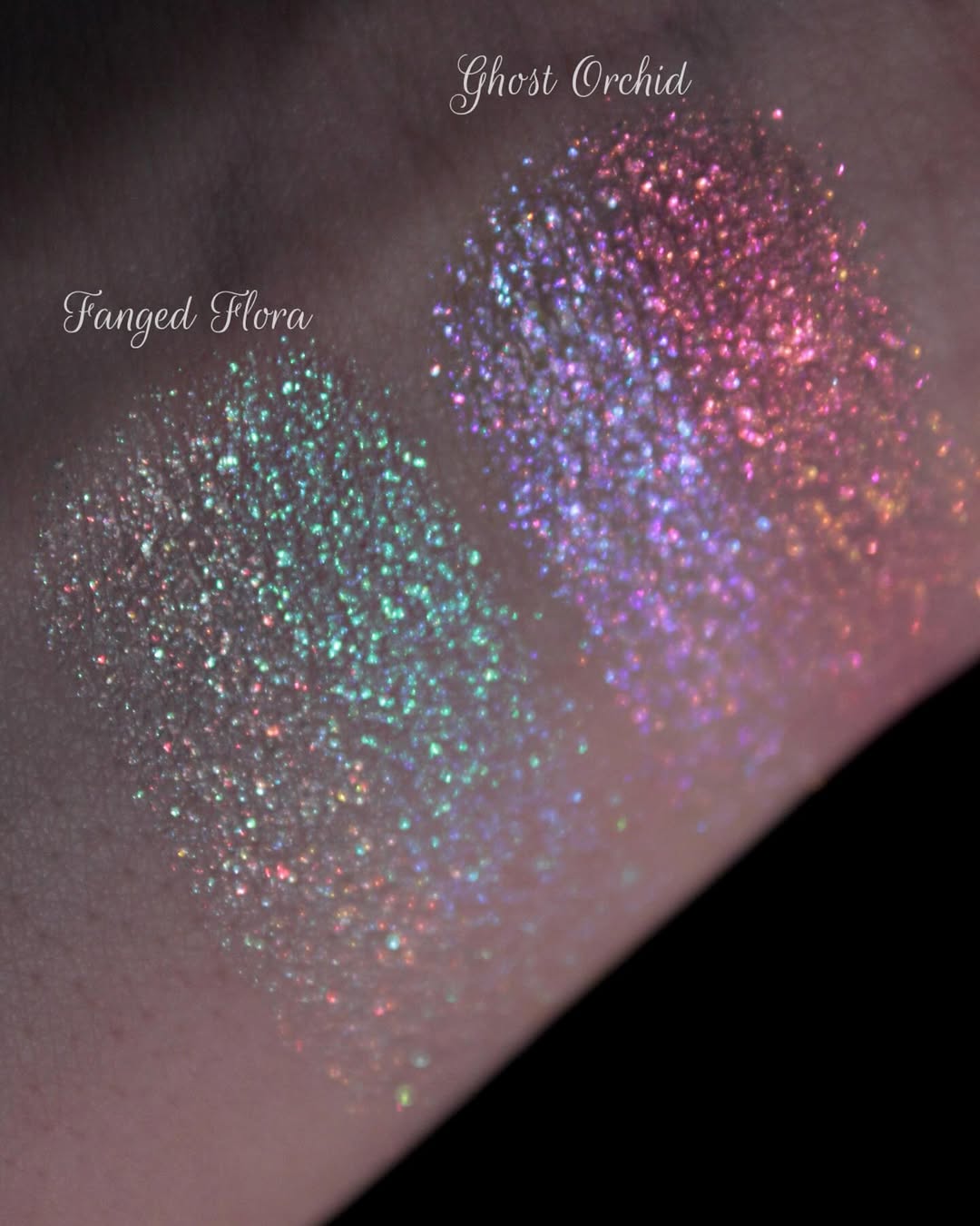 Ghost Orchid Highlighter
