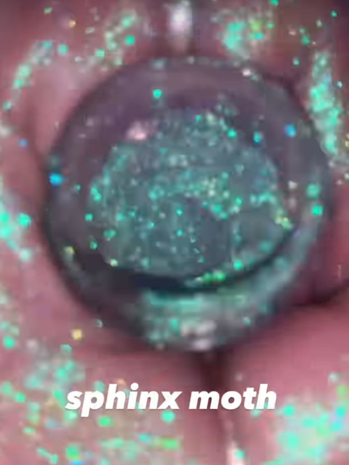 Spectral Shimmers: Sphinx Moth
