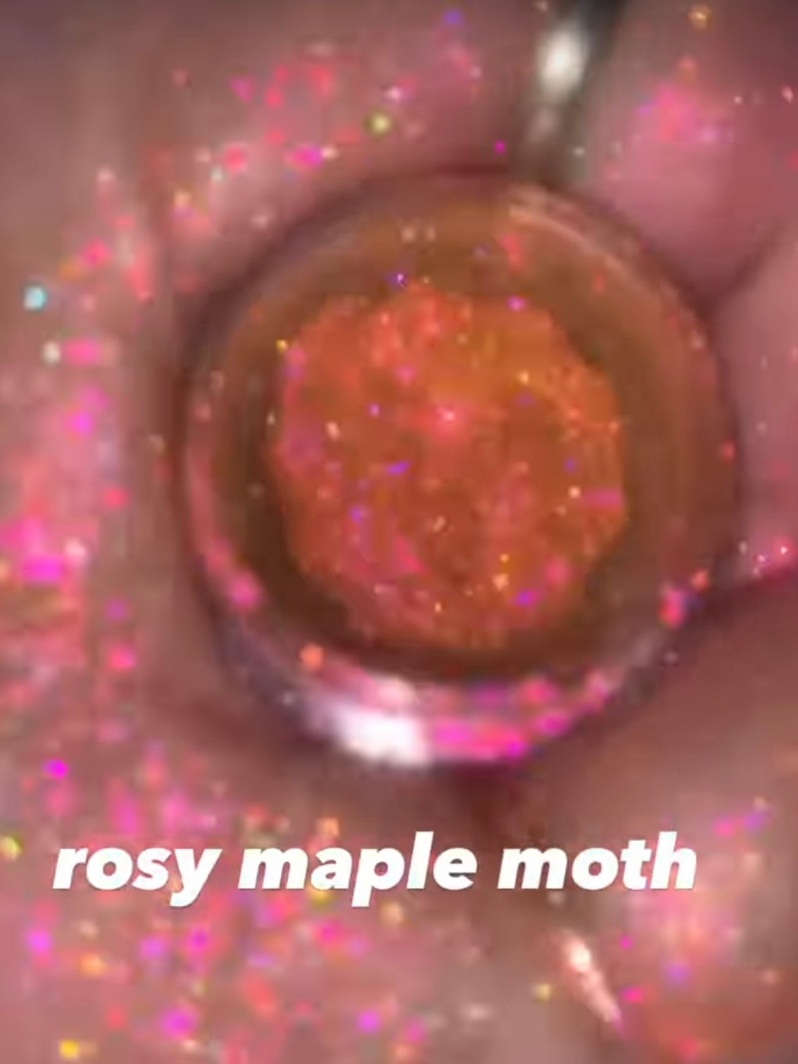 Spectral Shimmers: Rosy Maple Moth