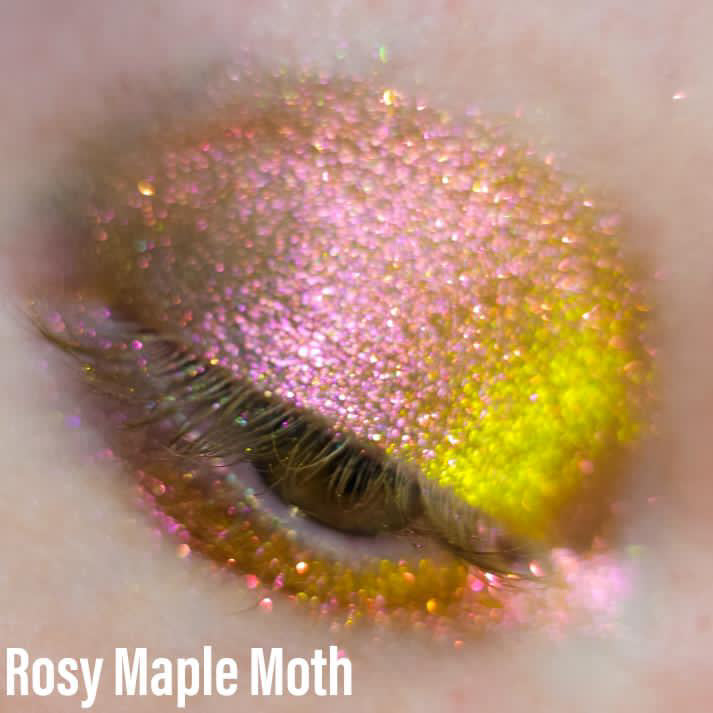 Spectral Shimmers: Rosy Maple Moth